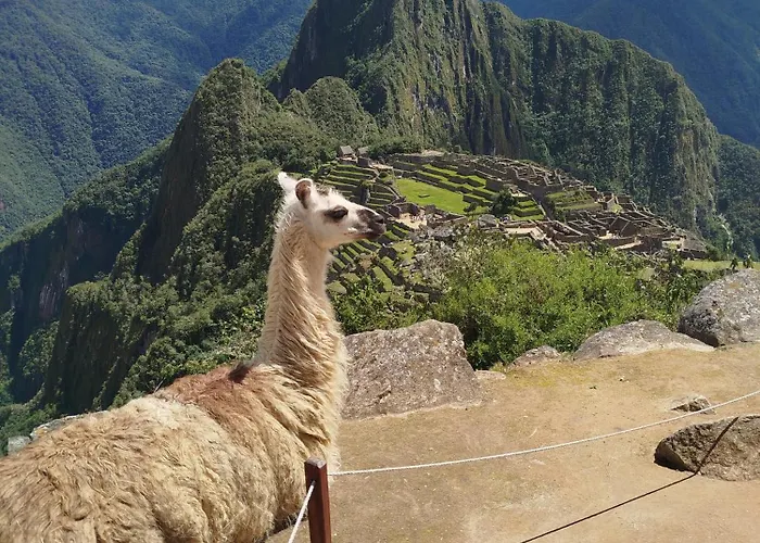 Affittacamere Picos House Machu Picchu